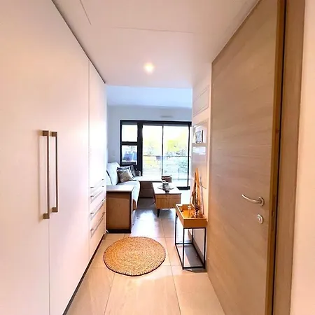Apartment Avec Terrasse 400m Croisette / Rue D'antibes *