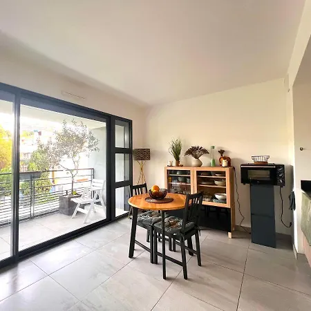 Apartment Avec Terrasse 400m Croisette / Rue D'antibes *